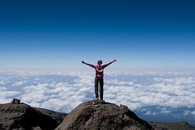 6 Days Mount Kilimanjaro Trek Marangu Route - Marangu’s Coca-Cola Route: huts, rainforest start, and a more gentle pace