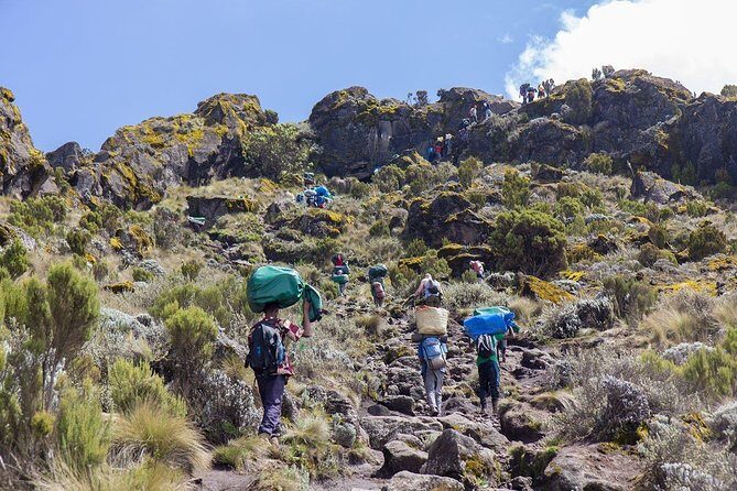 6 Days Mount Kilimanjaro Trek Marangu Route - Day 6: back down through heath and moor to Marangu Gate (about 6–8 hours)