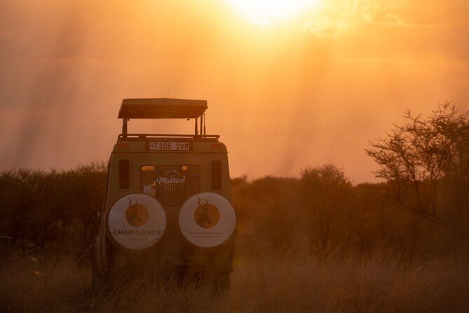 6 Days Private Safari Tour - A 6-Day Big Five Loop From Moshi (Private Pace Included)