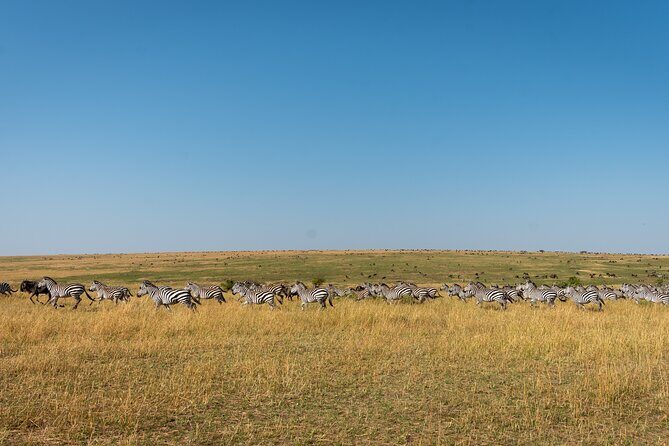 6 Days Private Safari Tour - Price and Value: What $11,980 Per Group Gets You