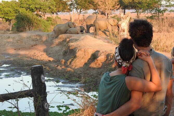 6 Days Private Safari with Mid-range Lodges or Camps - Full Day in Serengeti: Two Lights, More Chances