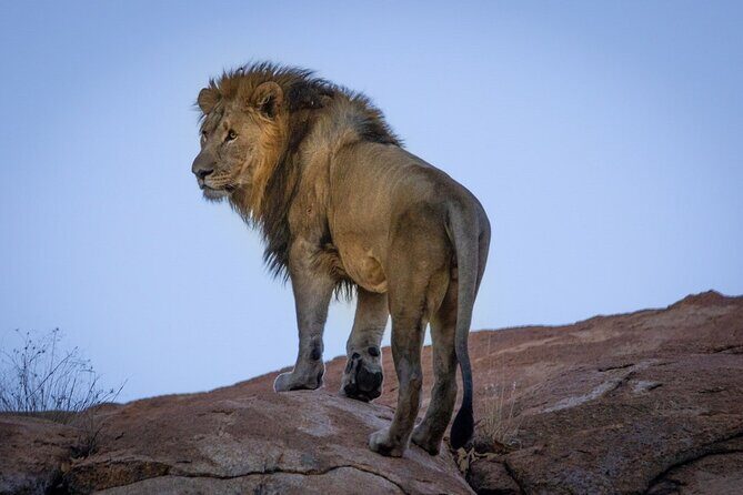 6 Days Safari : Manyara, Ngorongoro, Serengeti & Tarangire National Park - Day 4: second Serengeti drive plus time at Embalakai Camp
