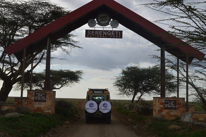 6 Days Safari : Manyara, Ngorongoro, Serengeti & Tarangire National Park - Day 1 in Lake Manyara: Rift Valley water and flamingo focus