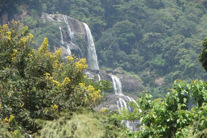 6 Days Safari to Udzungwa Mountain NP, Ruaha NP and Mikumi NP - Key Highlights You’ll Actually Feel in the Parks
