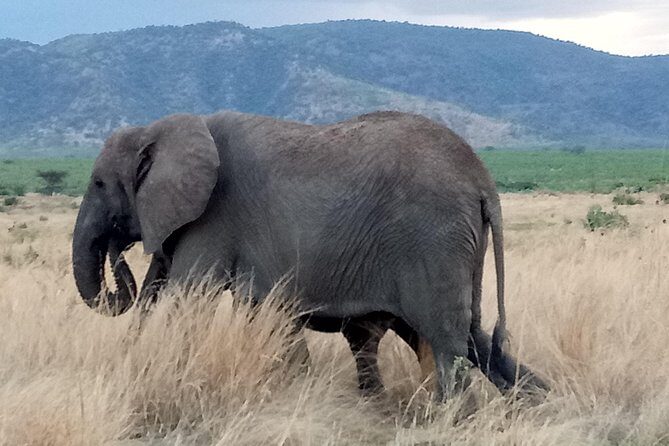 6 Days Safari to Udzungwa Mountain NP, Ruaha NP and Mikumi NP - Udzungwa Mountains National Park: Sanje Waterfall and Endemic Monkeys