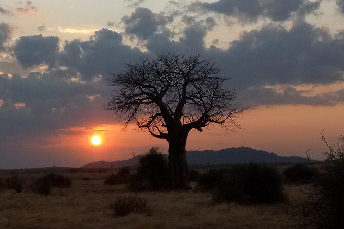 6 Days Safari to Udzungwa Mountain NP, Ruaha NP and Mikumi NP - Mikumi National Park: A Walking Safari With an Armed Ranger
