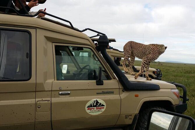 6 Days Tanzania Budget Camping Safari - Ngorongoro Conservation Area: sunrise start and the long crater approach