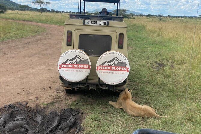 6 Days Tanzania Budget Camping Safari with Migration - Serengeti arrival: sunset drives and why the camp location helps
