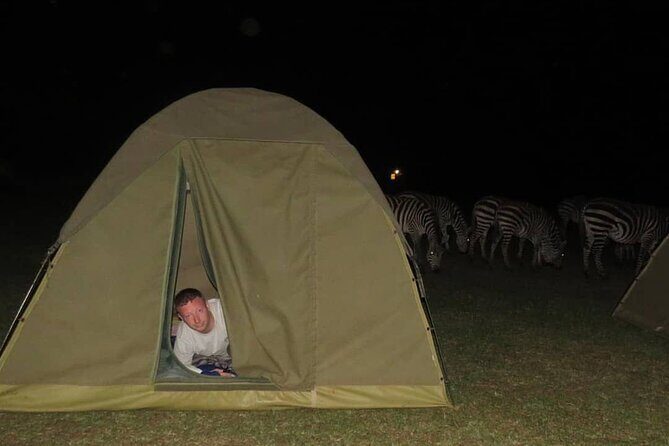 6 days Tanzania budget safari - Ngorongoro’s black rhino challenge and the crater-to-camp rhythm