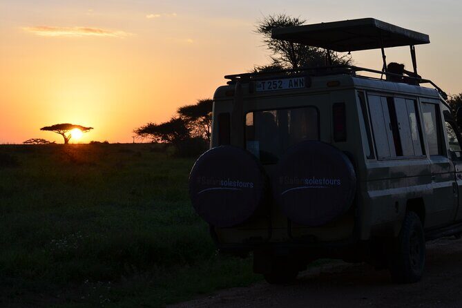 6 days Tanzania budget safari - Lake Manyara: flamingos, hippos, hot springs, and tree-climbing lions