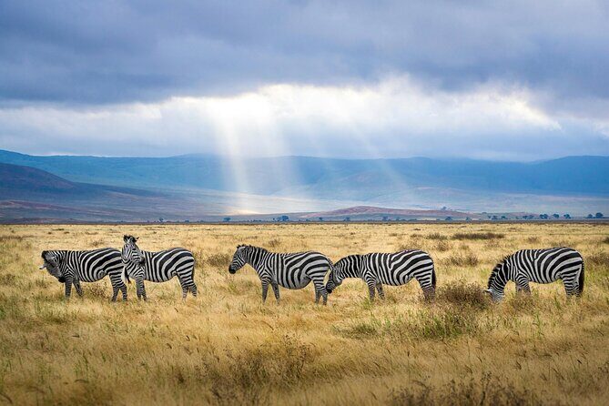6 Days Tanzania Bush Experience Safari - Day 2 Lake Natron Hot Springs and a Maasai Boma