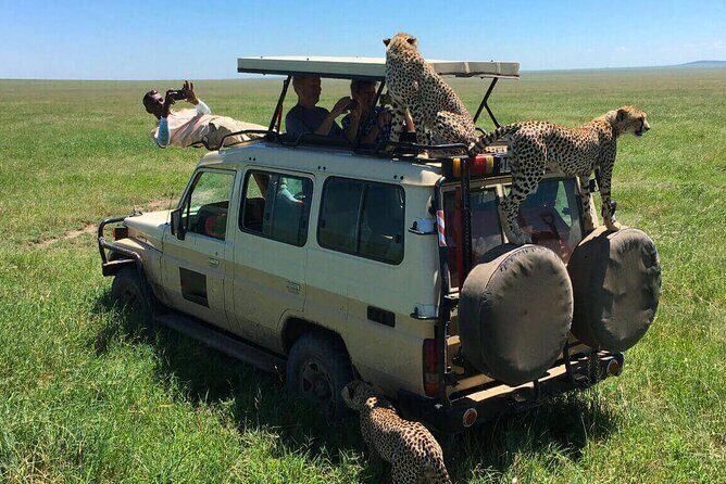 6 Days Tanzania Bush Experience Safari - Price and What You Get for $2,900 Per Person