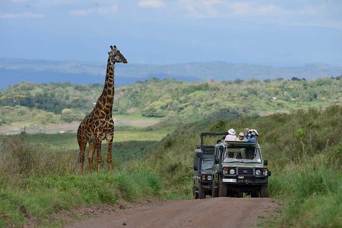 6 Days Tanzania Luxury Safari Tour - The Arusha start and the park mix that actually makes sense