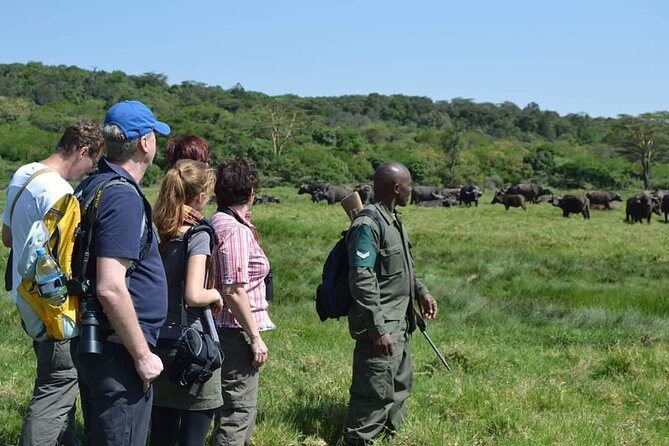 6 Days Tanzania Luxury Safari Tour - Day 1 at Lake Manyara: a full day to break in your safari routine