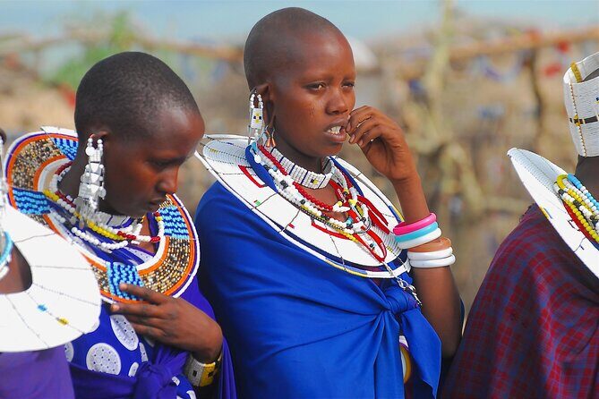 6 Days Tanzania Northern Circuit Safari - Tarangire National Park: elephants, baobabs, and a strong first day