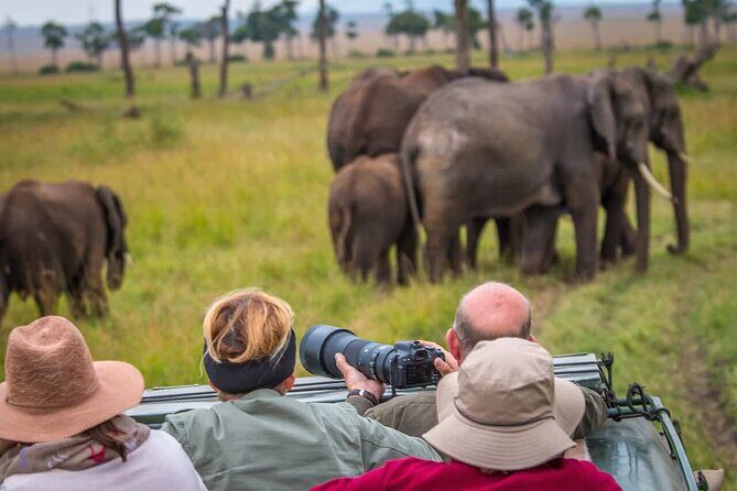6 Days Tanzania Northern Circuit Safari - Ngorongoro Crater: one morning inside the world’s big caldera