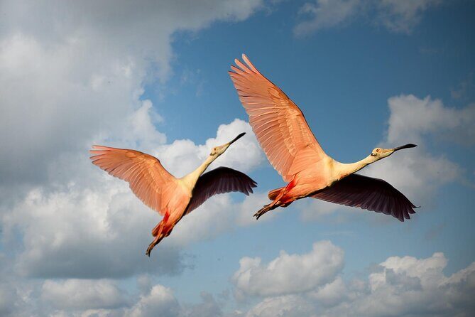 6 Days Tanzania Northern Circuit Safari - Price and Logistics: what $5,200 covers (and what doesn’t)