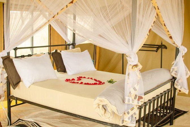 6 Days Tanzania Wildlife Camping Safari - Day 1 in Arusha: arriving, eating well, and getting oriented