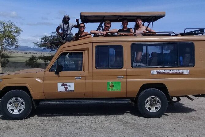 6 Days Tanzania Wildlife Camping Safari - Serengeti full-day game drive: big cat energy and serious birdlife