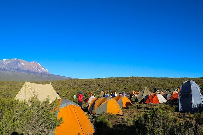 6 Days Trekking Marangu Route Mount Kilimanjaro - Day 1: rainforest hiking, Kisambioni picnic, and Mandara Hut relief