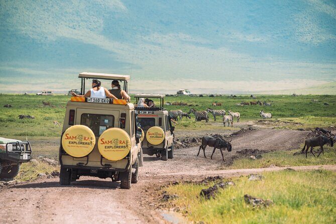6-DayThe Best of Northern Tanzania Safari - First contact in Arusha: arrival support that keeps day one smooth
