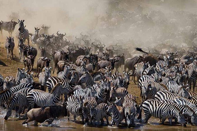 7 Day 6 nights Great Migration Classic Tanzania Safari - Key things that make this safari worth your attention