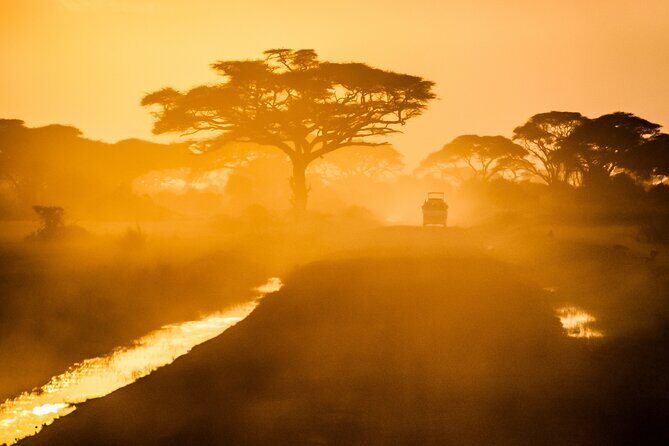 7 Day Grand Tanzania Safari - Price and Value at $2,800 per Person