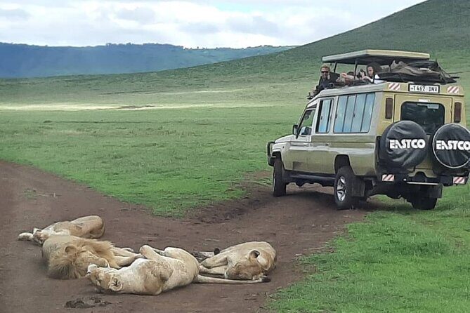7-Day Great Migration Safari - Day 2 Lake Manyara: A Morning Walk and the Rift Valley Lift