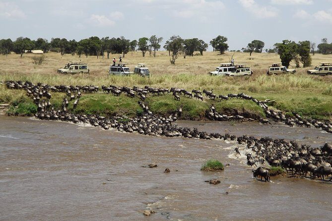 7-Day Great Migration Safari - Day 3 Karatu to Serengeti (Seronera): The Big-Plain Arrival Day
