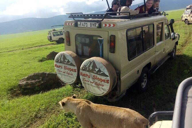 7-Day Group Camping Tarangire/Serengeti/Ngorongoro/lake Manyara - Key things you’ll notice right away