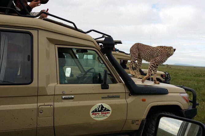7-Day Group Camping Tarangire/Serengeti/Ngorongoro/lake Manyara - Price and logistics: what $1,790 buys you in real safari terms