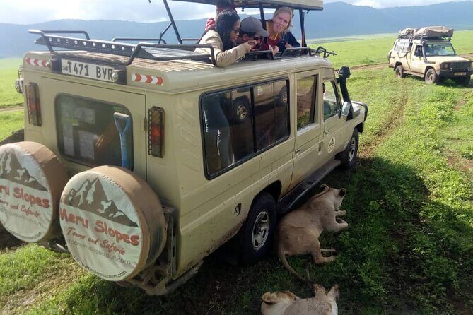 7-Day Group Camping Tarangire/Serengeti/Ngorongoro/lake Manyara - Days 2–4 Serengeti: from sunset plains to Mara River drama