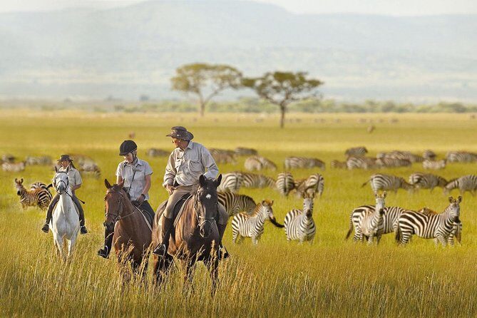 7 Day Joined Safari Serengeti,Ngorongoro,Manyara,Tarangire,Arusha National Park - Day 4 Sunrise in Serengeti: long viewing hours and higher predator odds