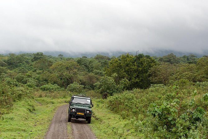7 Day Joined Safari Serengeti,Ngorongoro,Manyara,Tarangire,Arusha National Park - Day 5 Ngorongoro Conservation Area: the crater day built for big sightings