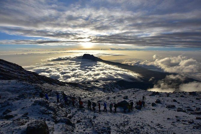 7-Day Kilimanjaro Climb–Lemosho R. Scenic Adventure to the summit - A summit plan with enough structure to keep you sane