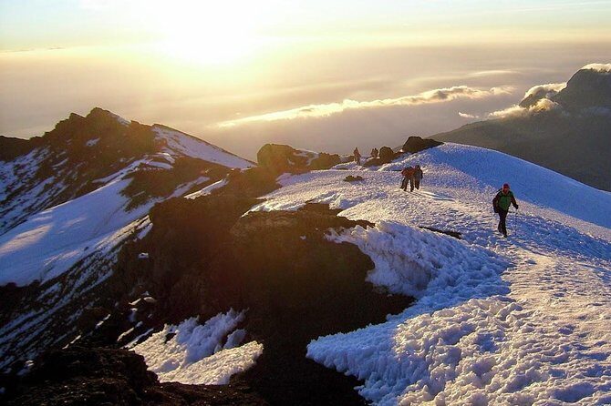 7-Day Kilimanjaro Climb–Lemosho R. Scenic Adventure to the summit - Key highlights you should care about