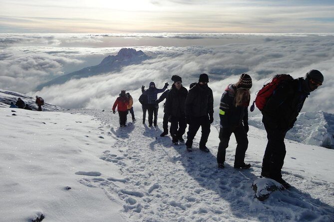 7-Day Kilimanjaro Climb–Lemosho R. Scenic Adventure to the summit - Day 4: Great Barranco Wall to Karanga Camp (short hike, big acclimatization payoff)