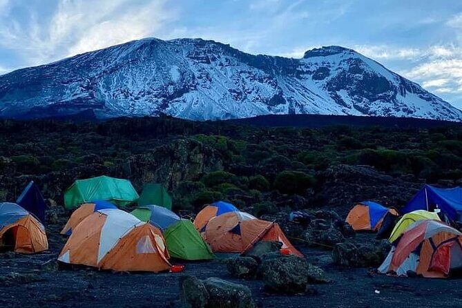 7-Day Kilimanjaro Climb Machame Route - Machame on Kilimanjaro: Why this route earns its nickname