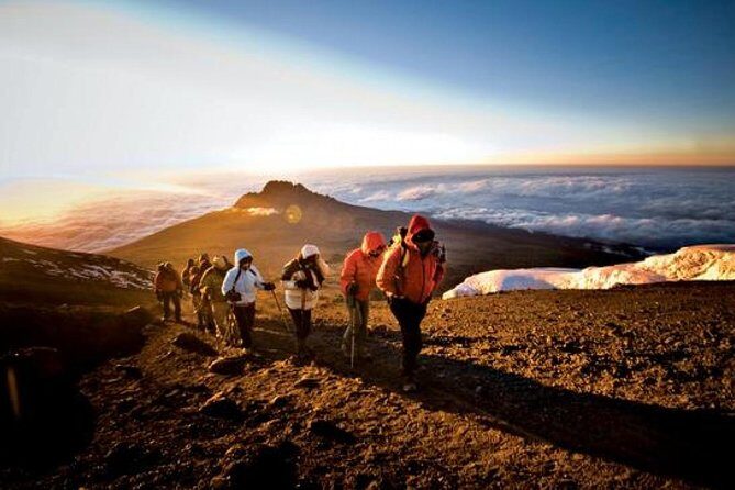 7-Day Kilimanjaro Climb Machame Route–The Best Path to Uhuru Peak - Day 2 (Shira Cave Camp via Shira Plateau): big Kibo views at high moorland