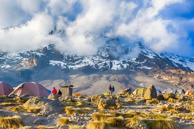 7-Day Kilimanjaro Climb Machame Route–The Best Path to Uhuru Peak - Day 4 (Barranco Wall to Karanga Camp at ~4,035m): a scramble day that builds confidence