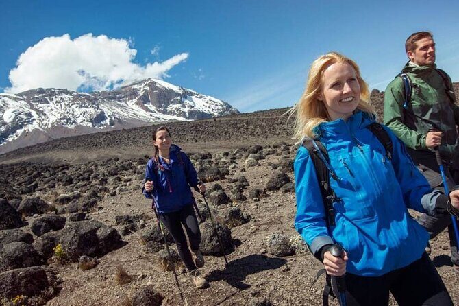 7 Day Kilimanjaro Climbing Via Lemosho Route - Key highlights you’ll actually care about