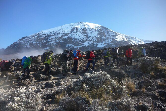 7 Day Kilimanjaro Climbing Via Lemosho Route - Lemosho Route magic: scenic walking with a smart altitude build