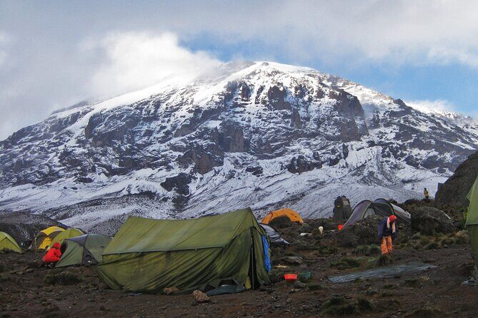 7 Day Kilimanjaro Climbing Via Lemosho Route - Day 7: Montane forest descent and a return shower in Moshi