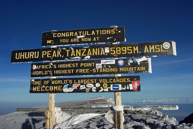 7-Day Kilimanjaro Hiking Tour via Machame Route - Day 1: Arusha to Machame Gate, then rainforest walking to camp