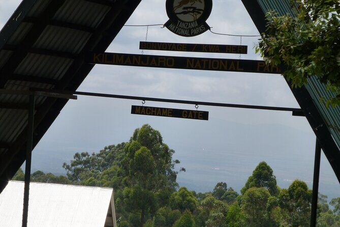 7 Day Kilimanjaro Machame climb - Why Machame Is the Whisky Route for Good Reasons