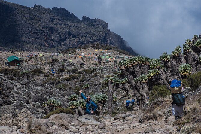 7 Day Kilimanjaro Machame climb - Day Five: Alpine Desert Walking and Summit Camp Setup