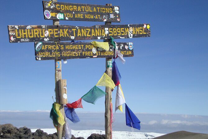 7 Day Kilimanjaro Machame climb - Moshi Start and Machame Gate: Rain Forest Day One