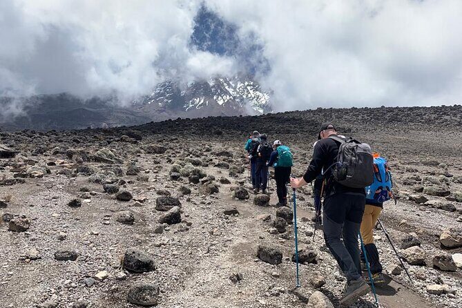 7-Day Kilimanjaro Trekking Tour via Machame Route - Moshi start: get organized and set your pace