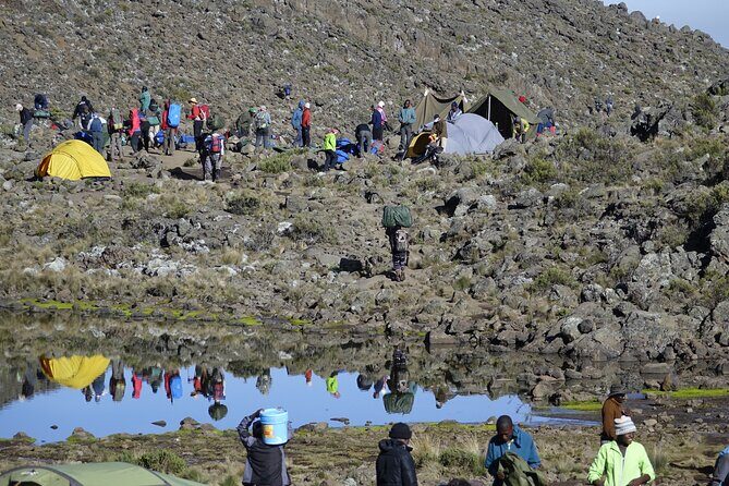 7-Day Kilimanjaro Trekking Tour via Machame Route - Price and value: $2,850 is not cheap, so what do you get?