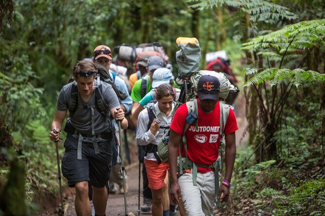 7-Day Machame Kilimanjaro Summit Tour from Arusha - Day 5: Barafu Views, Slow Pace to Kosovo Camp, and the Exposed Ridge Factor